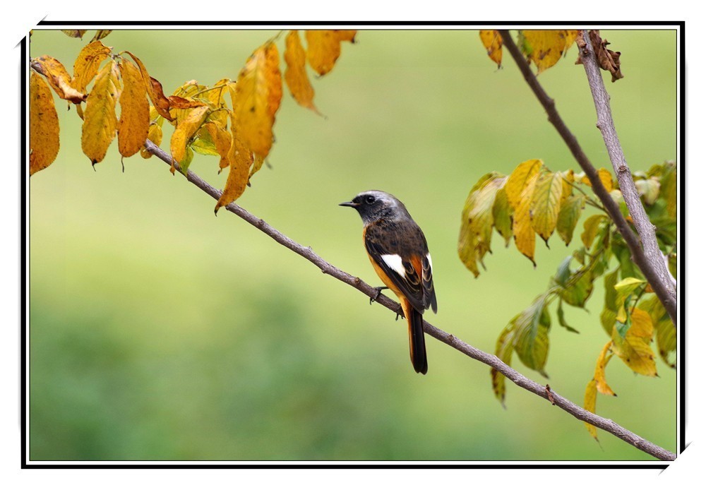 宾得K12最近试拍了一下,画质给力嚄