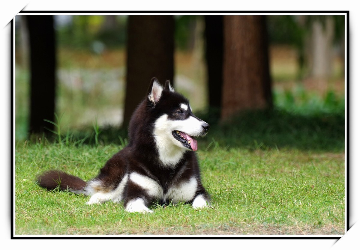 宾得K12最近试拍了一下,画质给力嚄