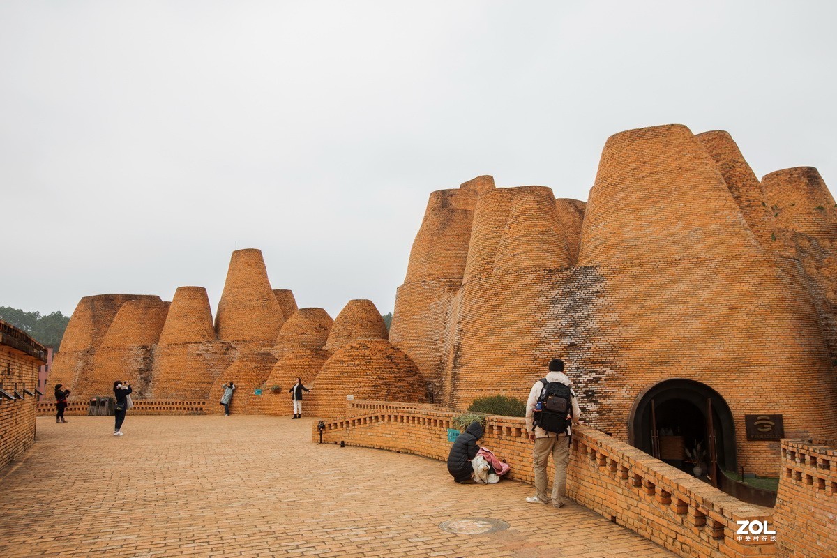 外出随拍（续十五）。