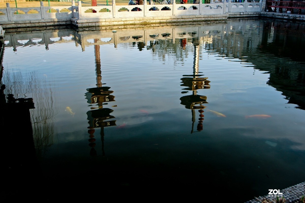 庚子年末——明湖百花洲