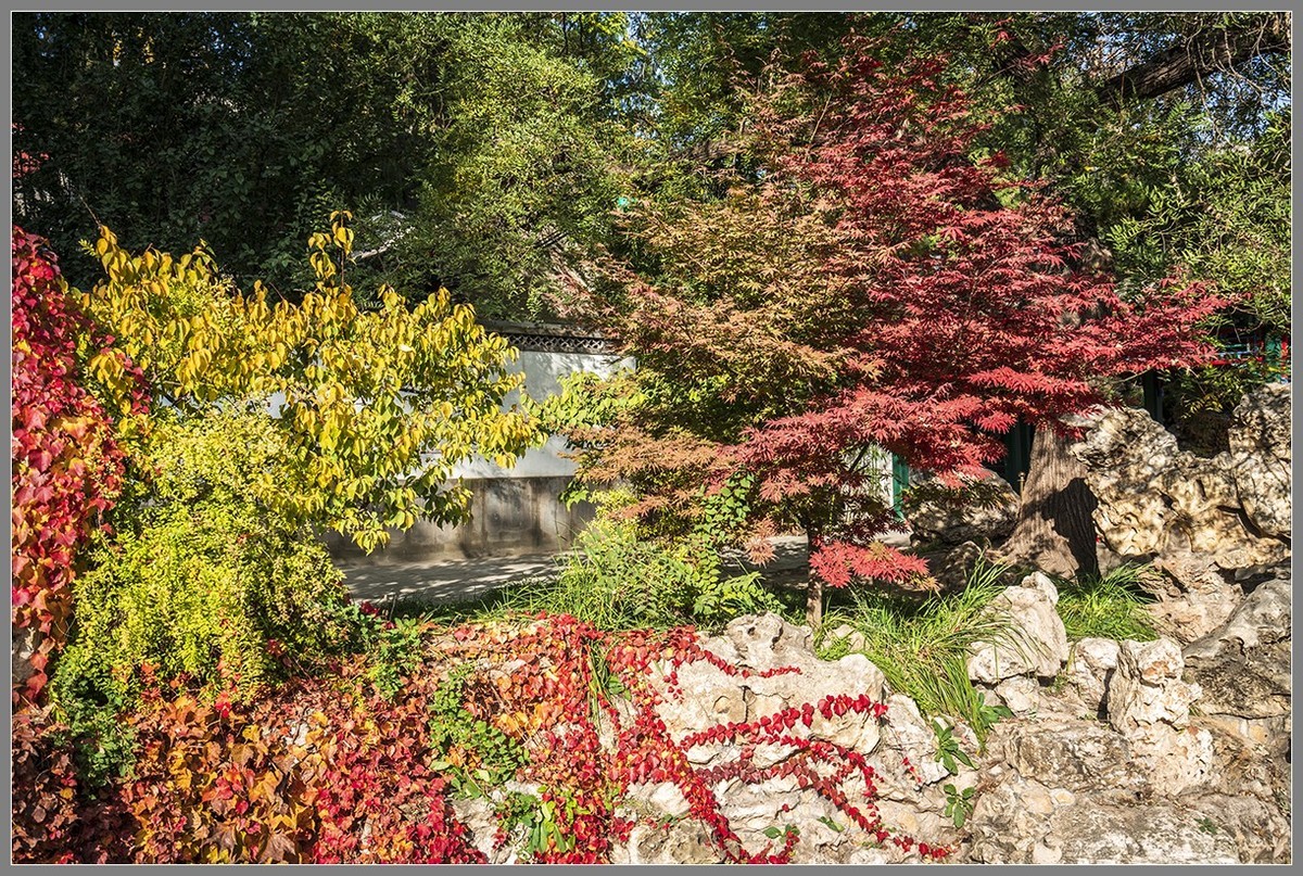 秋日游北海  之  色彩斑斓“静心斋”