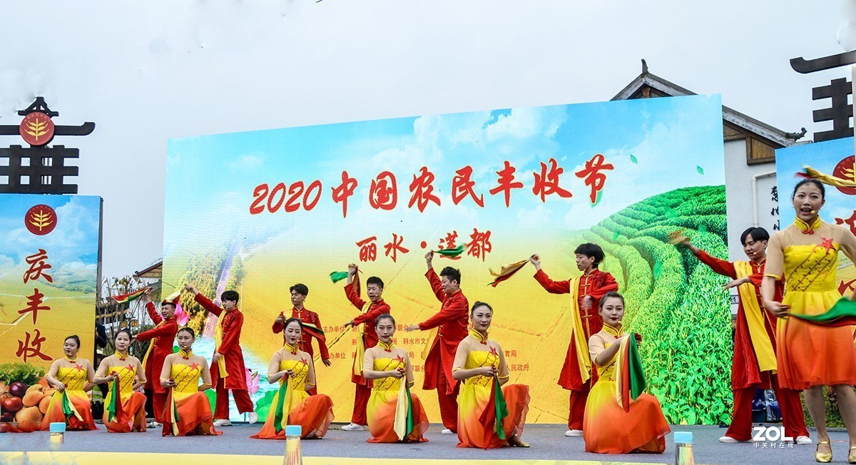 《庆丰收.迎小康》