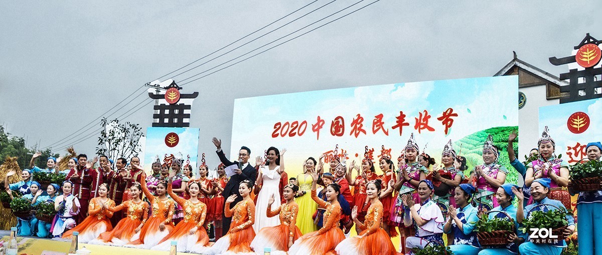 《庆丰收.迎小康》