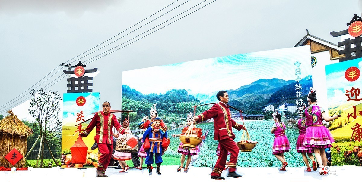 《庆丰收.迎小康》