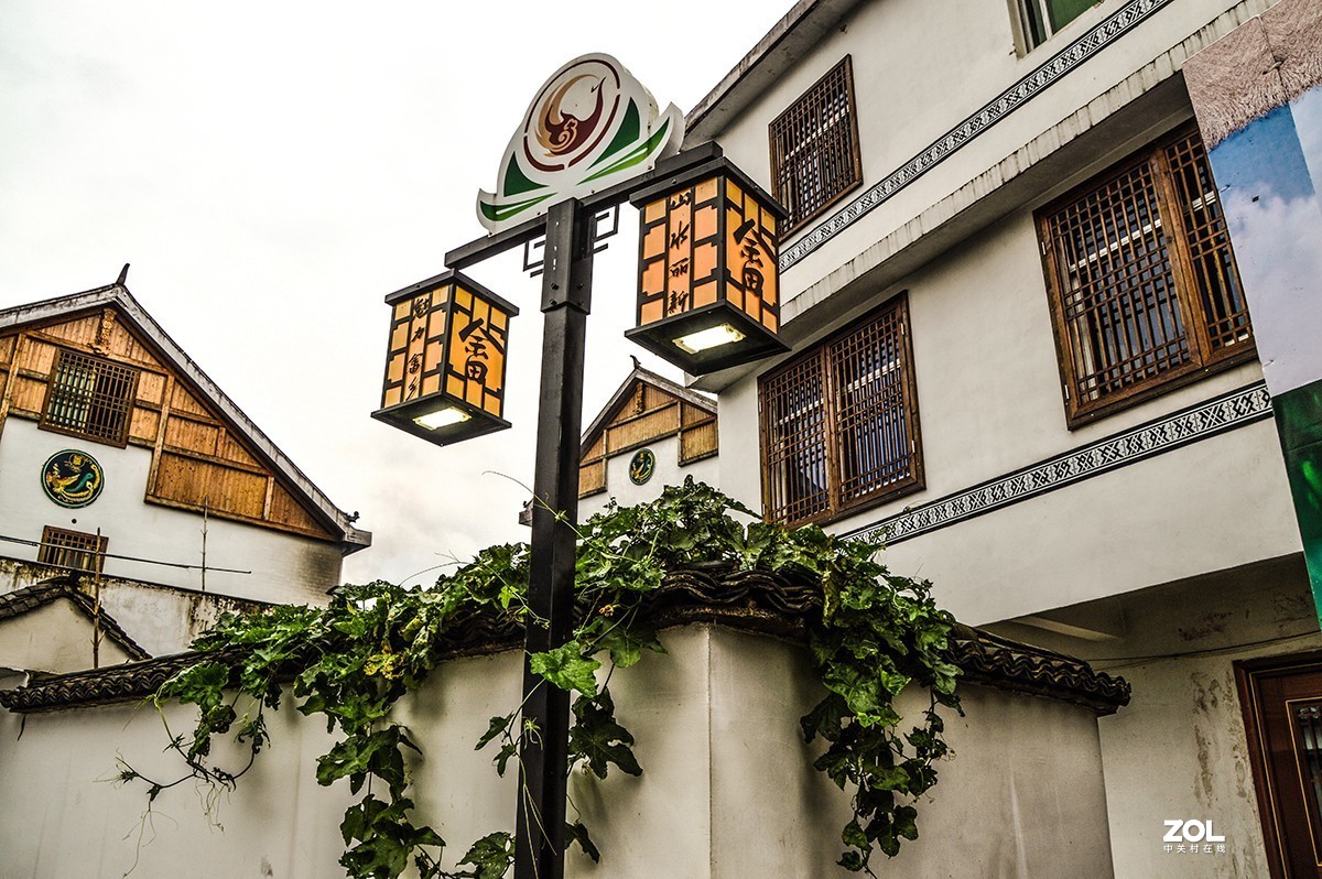 《庆丰收.迎小康》