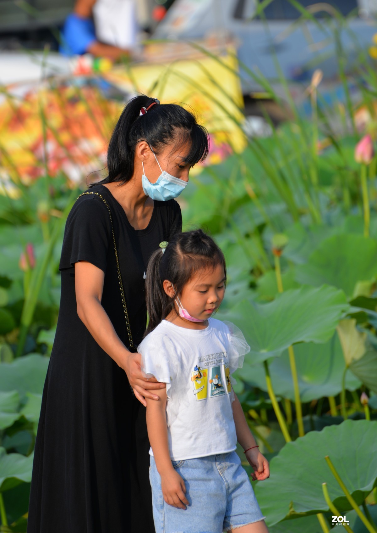 今天新入手尼康70-300vr，迫不及待的出去试拍