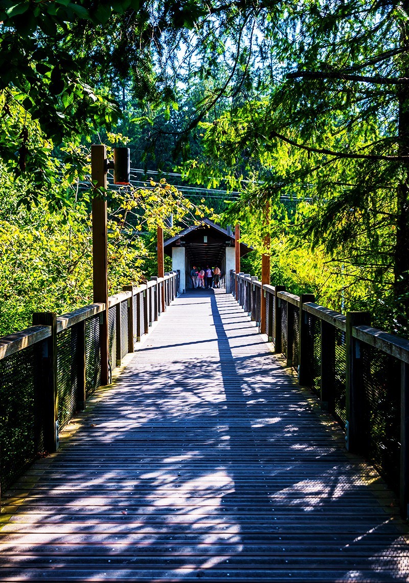 加拿大、美国游记（063）：西雅图 · 司诺蕾米瀑布