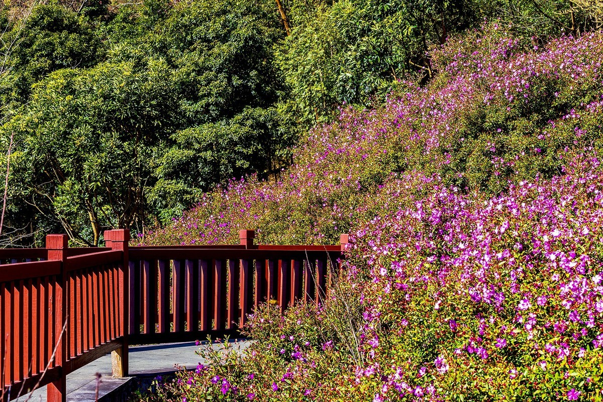 广州 · 石门国家森林公园