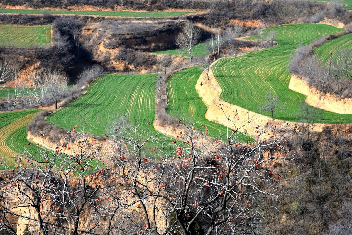 山西平陆乡村游【上】-中关村在线摄影论坛