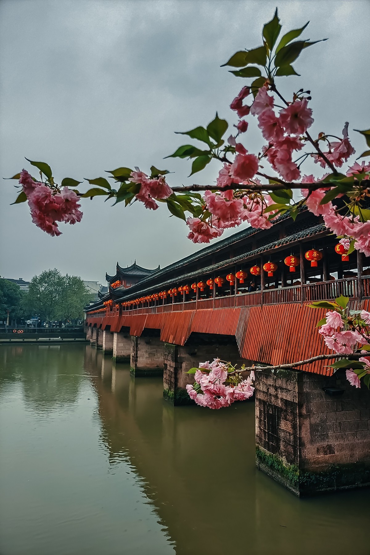 武义不要门票的景点图片