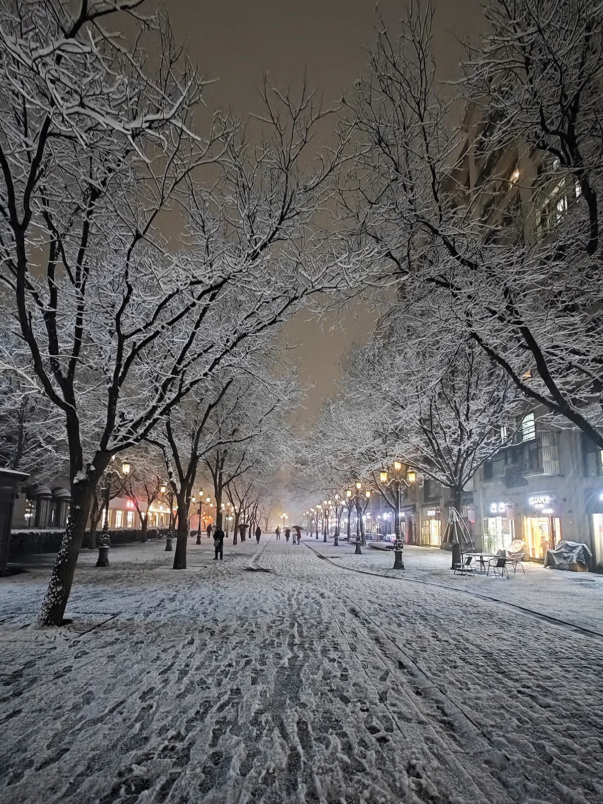 傍晚雪景最美图片