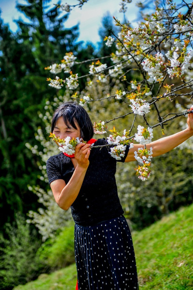 舞在“黑森林”（德）