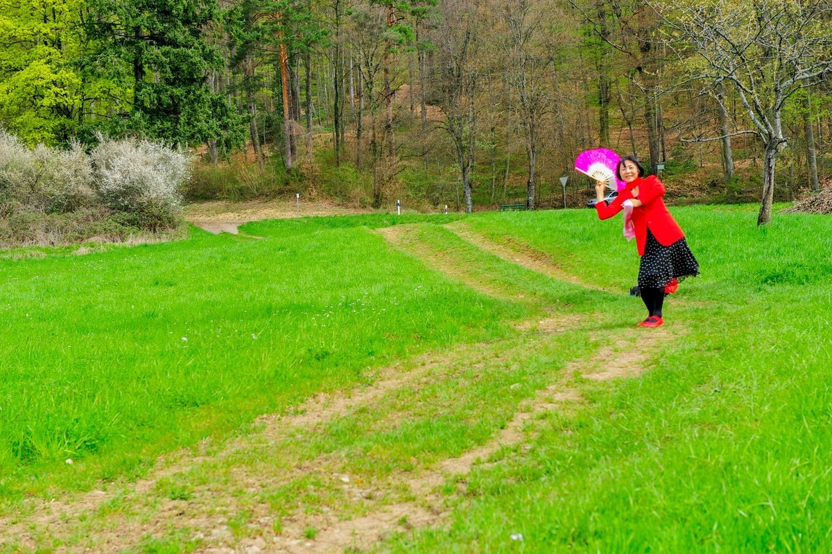 舞在“黑森林”（德）