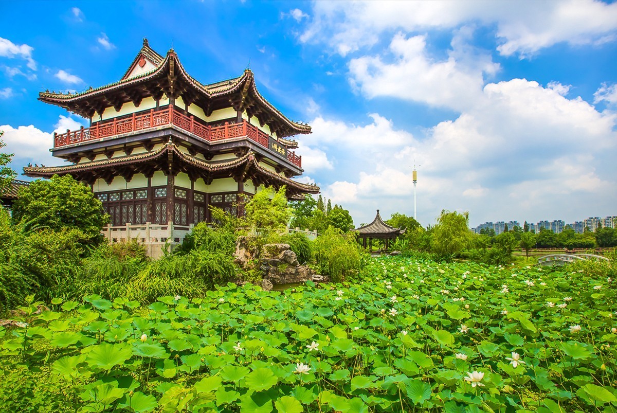 20210804仪征东园三