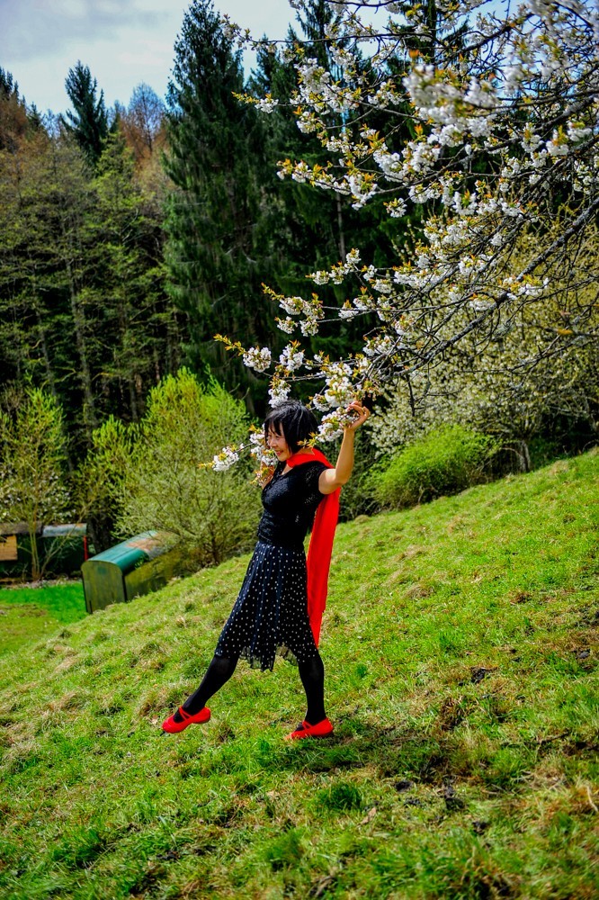 舞在“黑森林”（德）