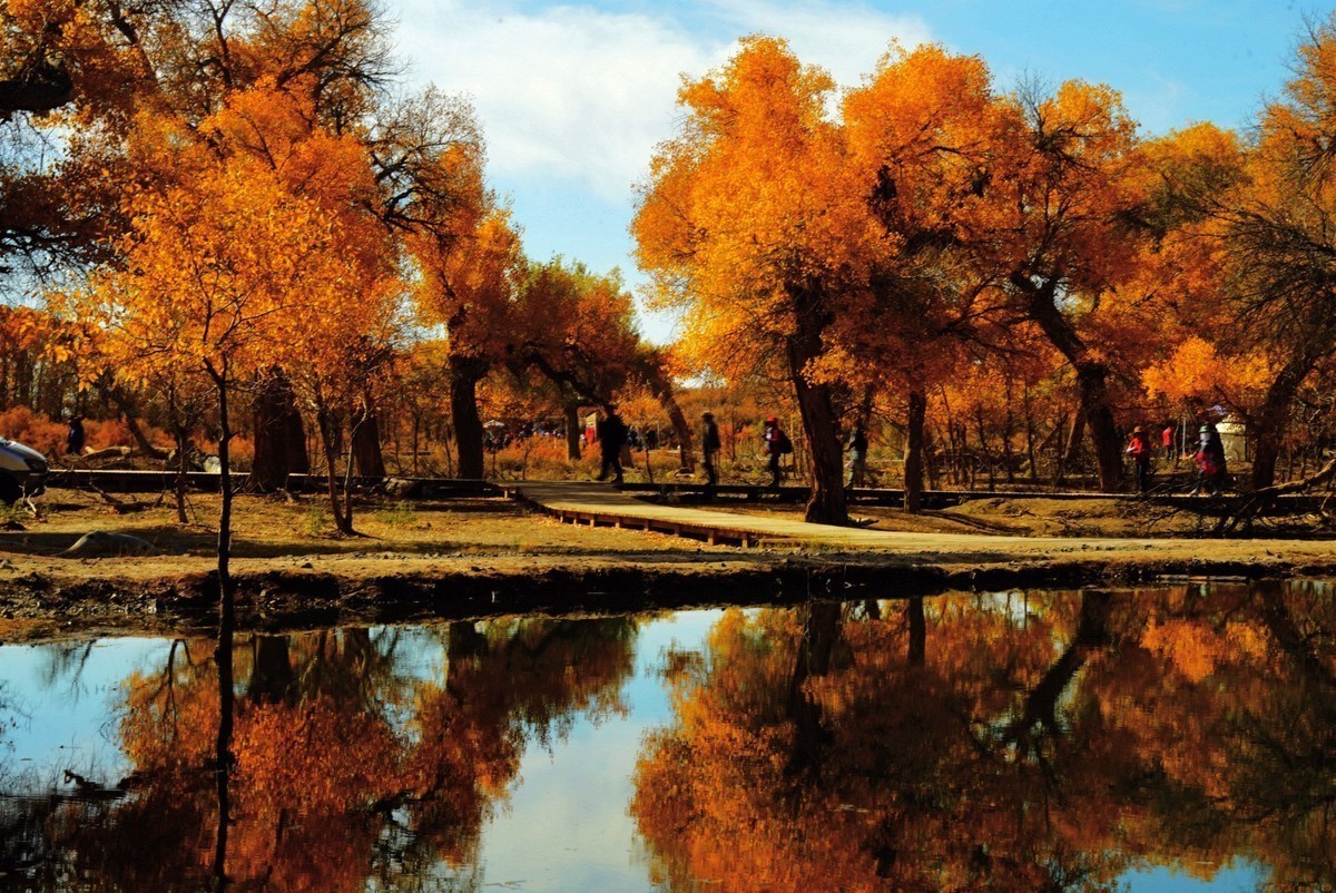 艳秋  额济纳，内蒙古