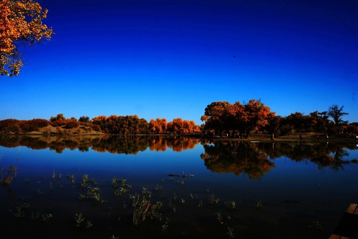 艳秋  额济纳，内蒙古