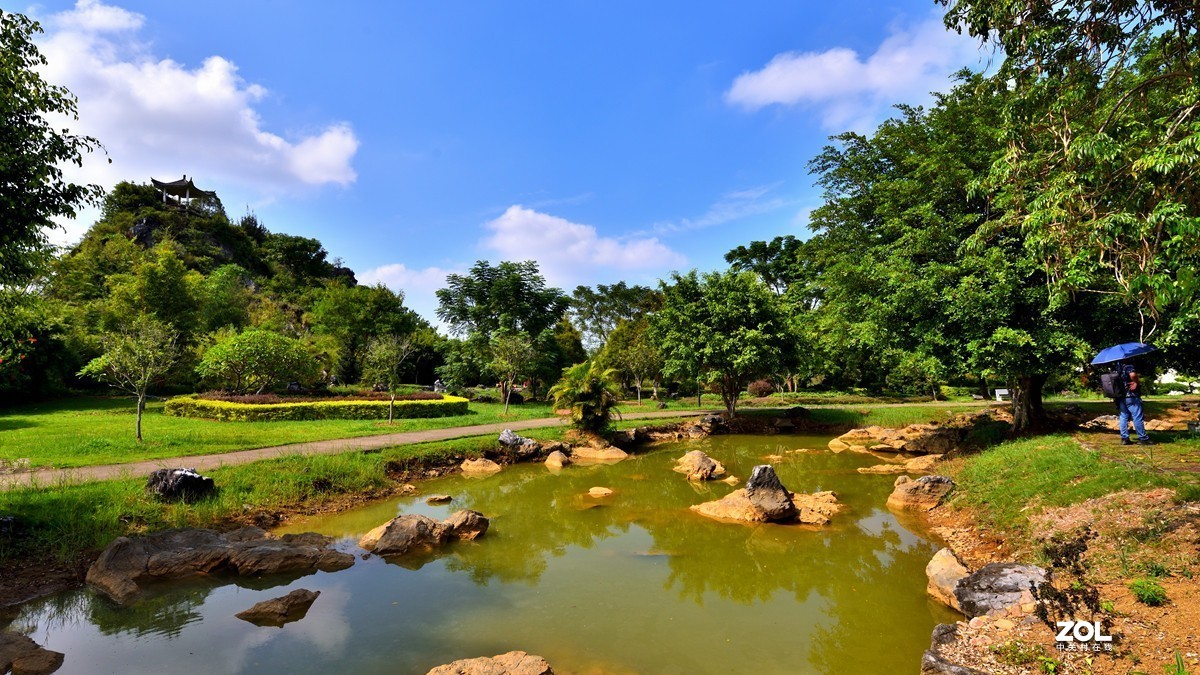 會仙河溼地公園6