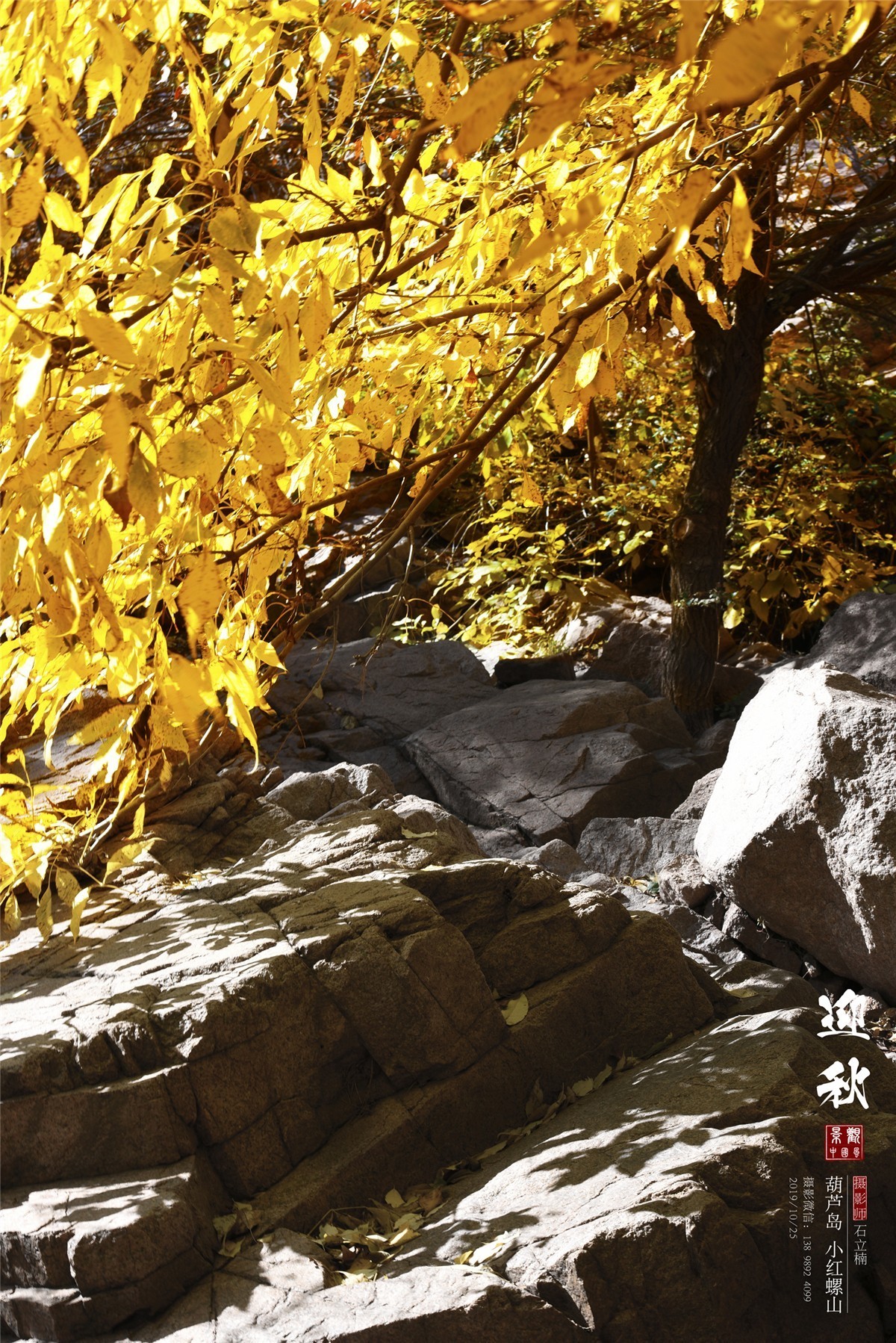 葫芦岛风光摄影 小虹螺山 [红螺秋景美如画]