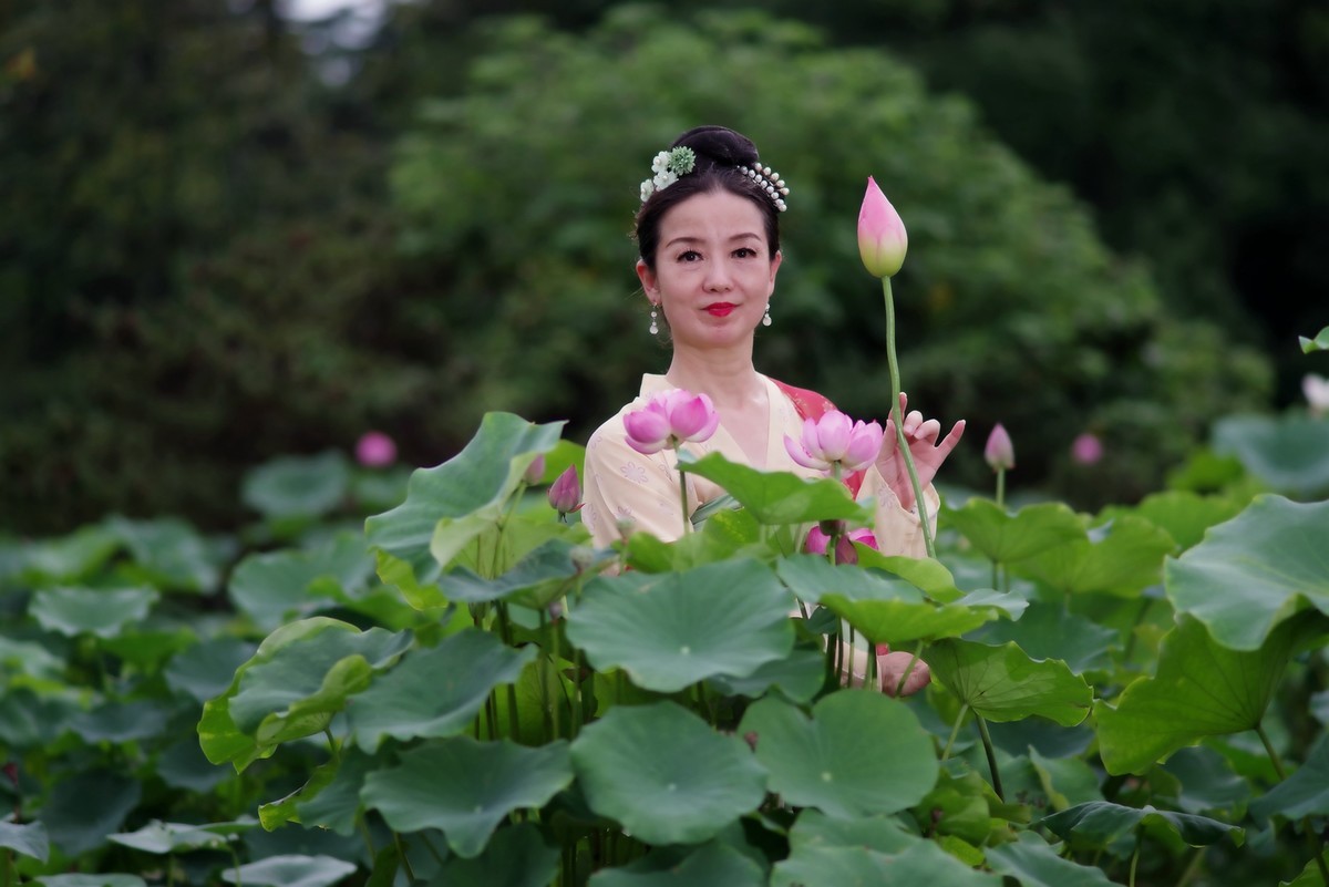 荷花园里的美女