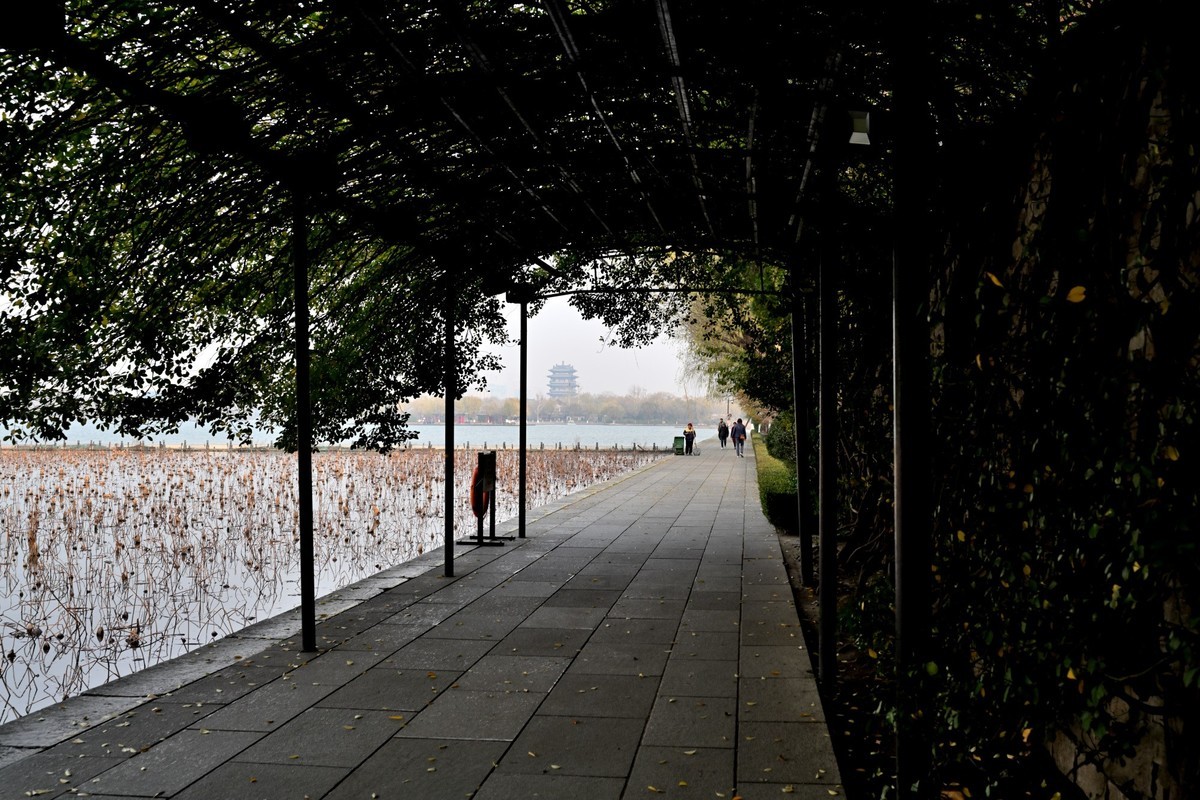 休假，大明湖闲逛，首次用Z35s拍风光