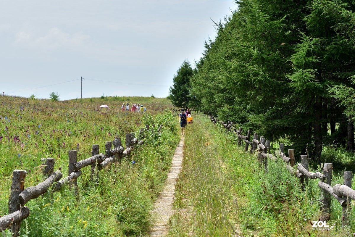 崇礼喜鹊梁风景区
