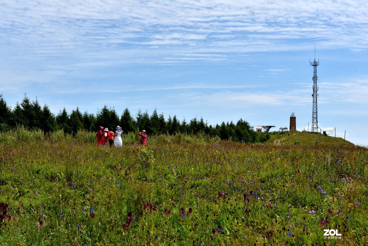 崇礼喜鹊梁风景区