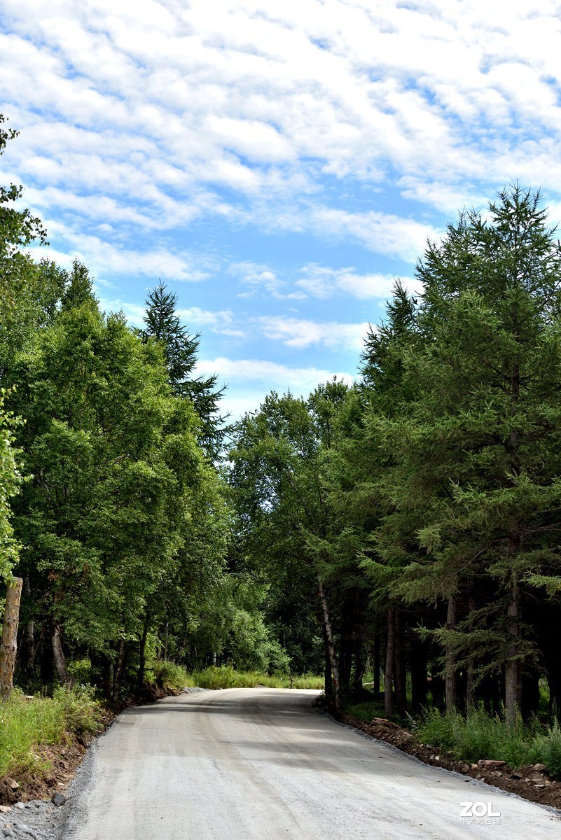 崇礼喜鹊梁风景区