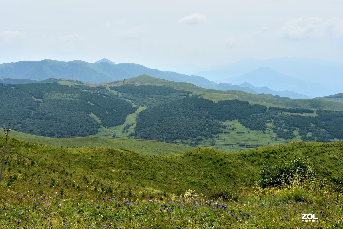 崇礼喜鹊梁风景区