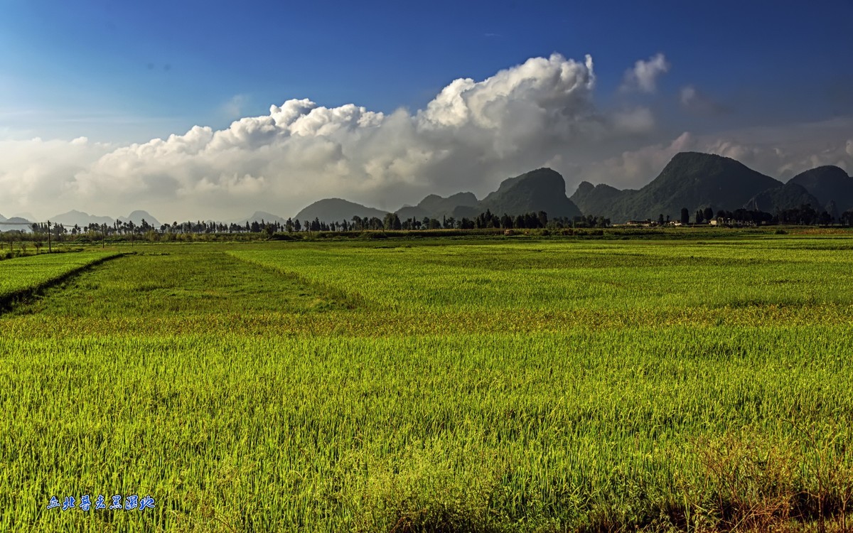 云南文山州：丘北普者黑湿地（3）