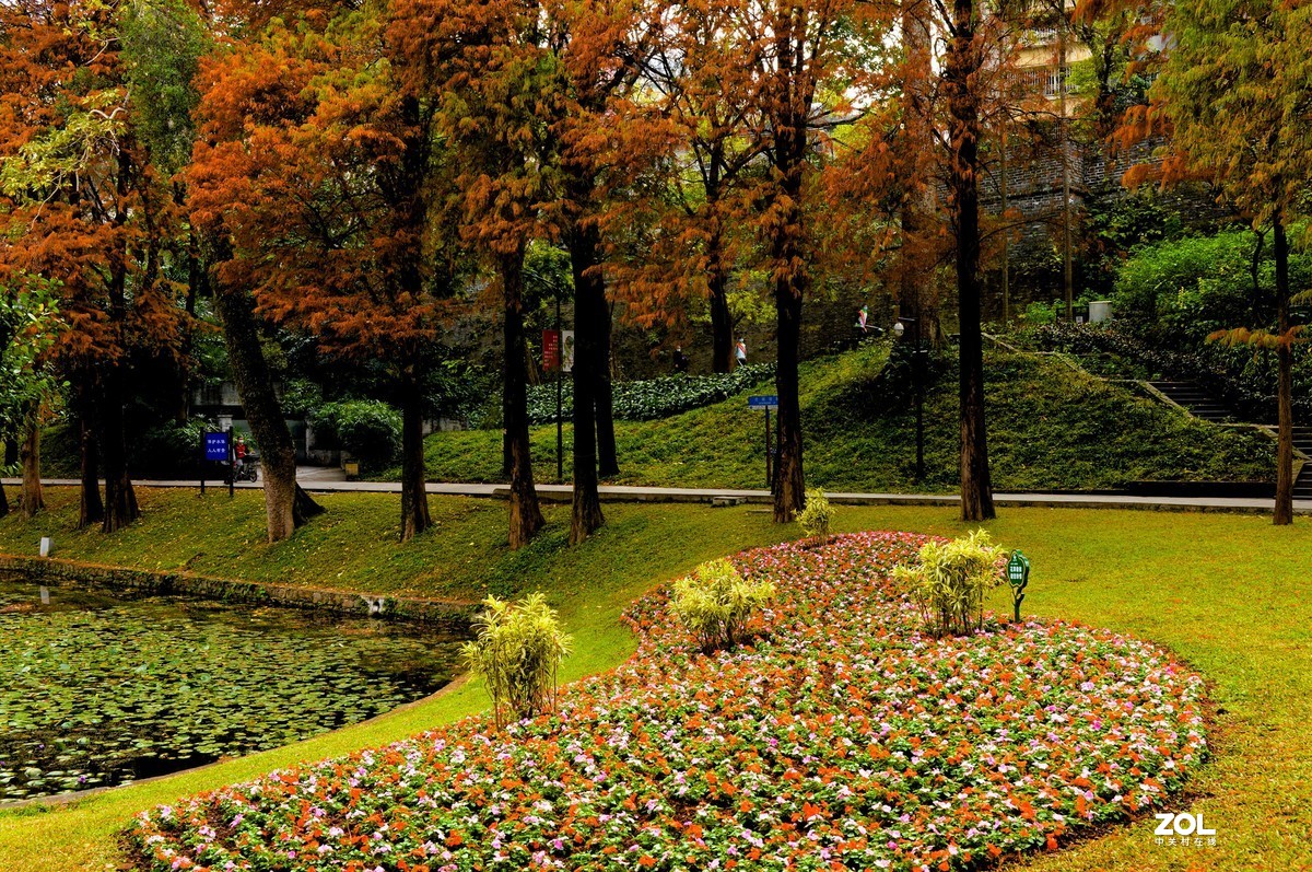 广州越秀山公园随拍