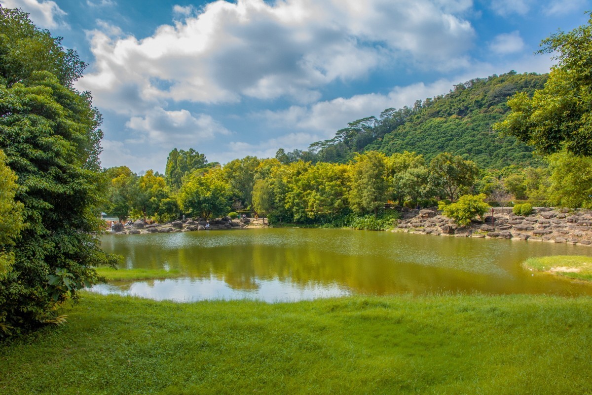 大岭山湿地公园图片图片