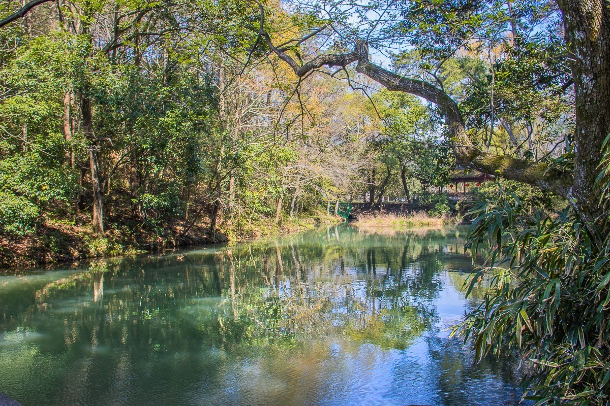 2021-04-06宁波雪窦山千丈岩（一）