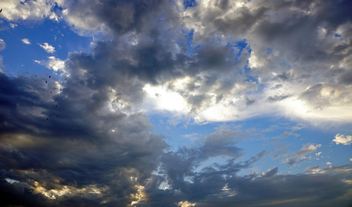 鄱 阳 韭 菜 湖 晨 曦