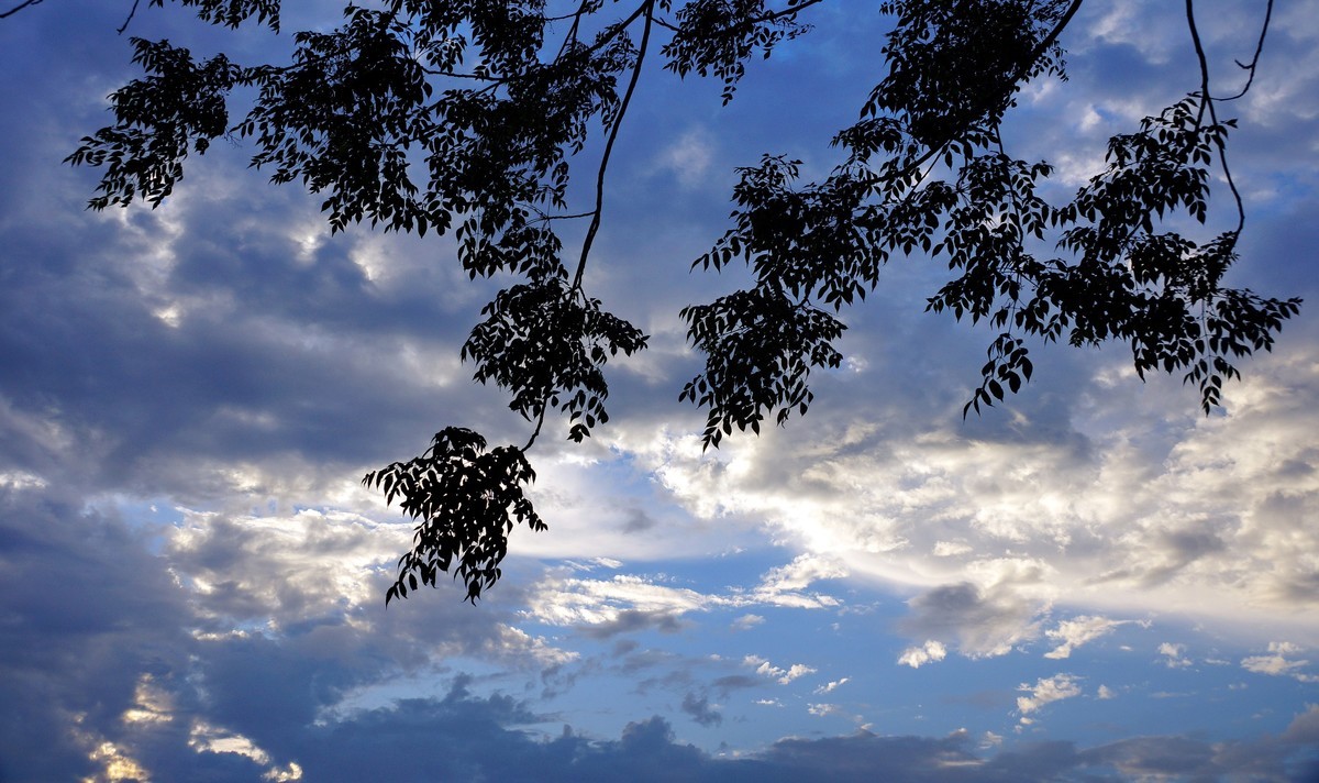 鄱 阳 韭 菜 湖 晨 曦