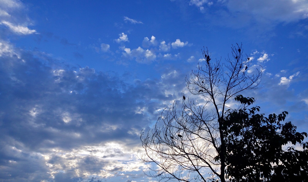 鄱 阳 韭 菜 湖 晨 曦