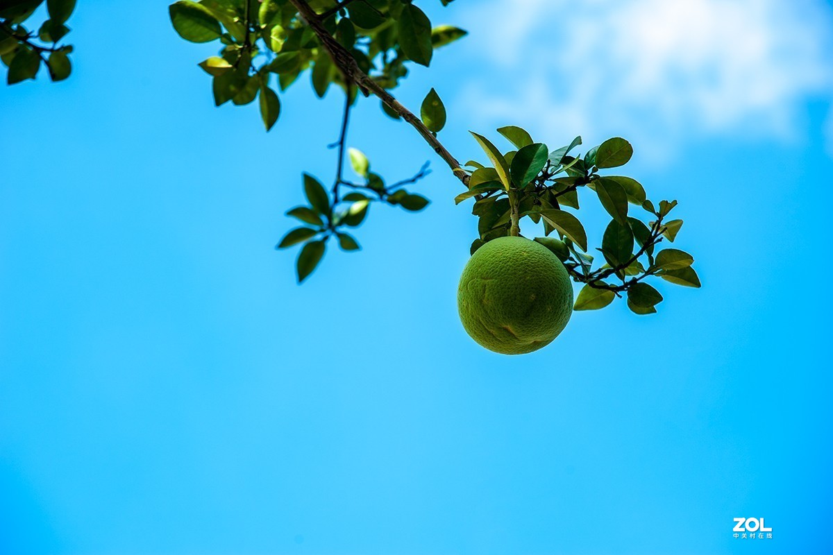 南京汤山奥特莱斯