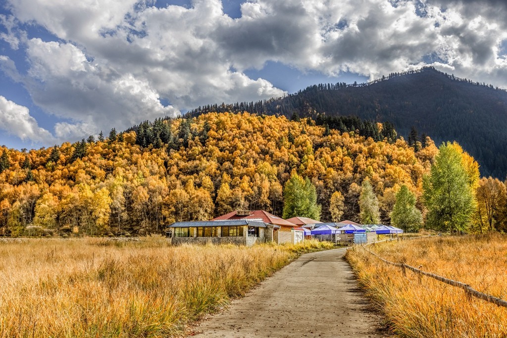 行走在如画的秋里