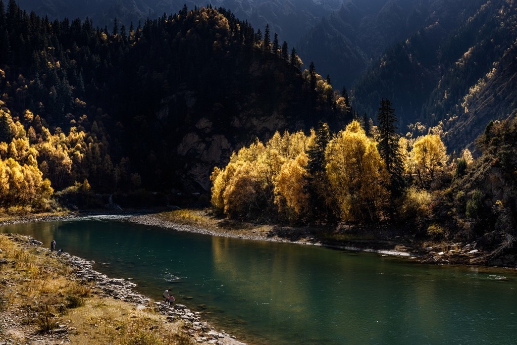 行走在如画的秋里