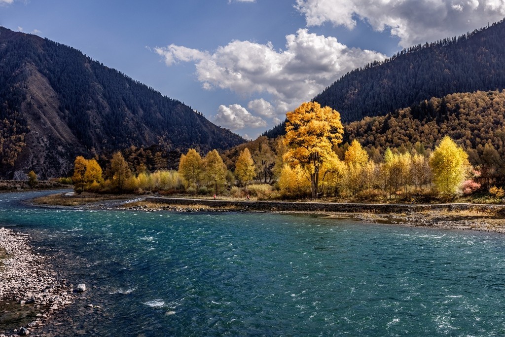 行走在如画的秋里