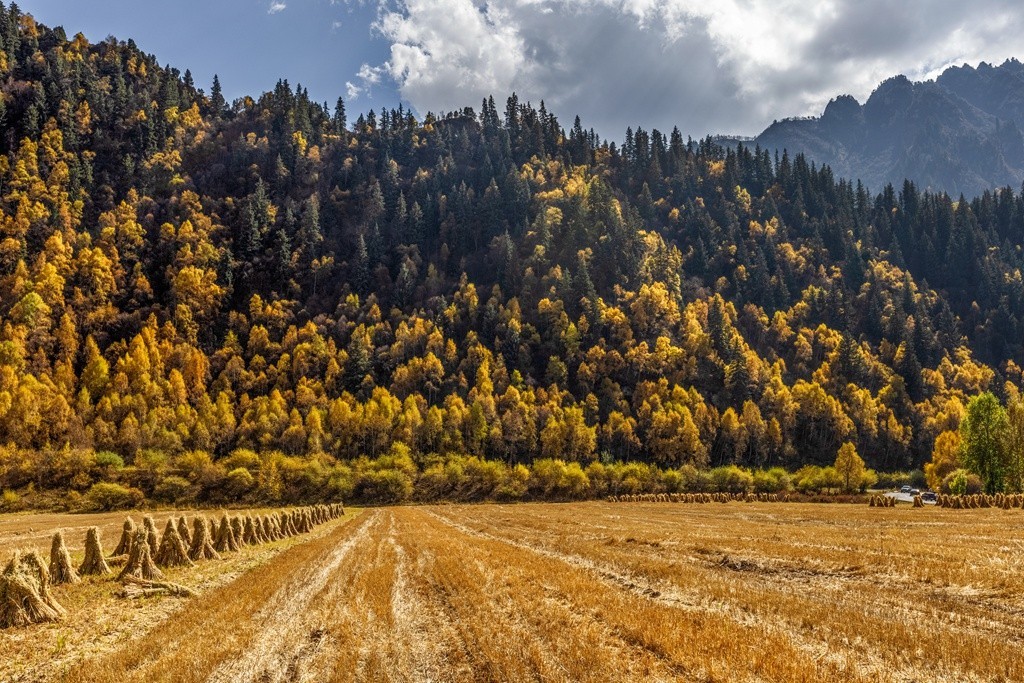 行走在如画的秋里