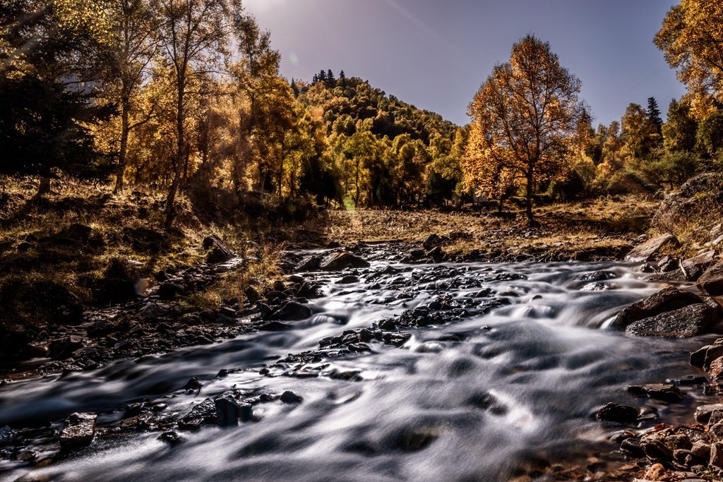 行走在如画的秋里