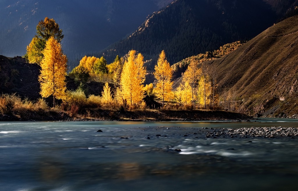 行走在如画的秋里