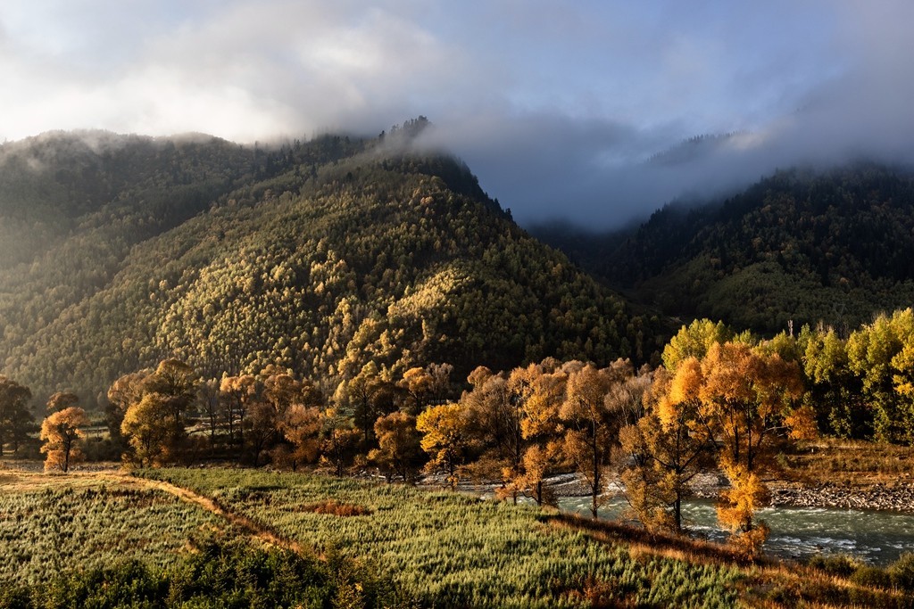 行走在如画的秋里