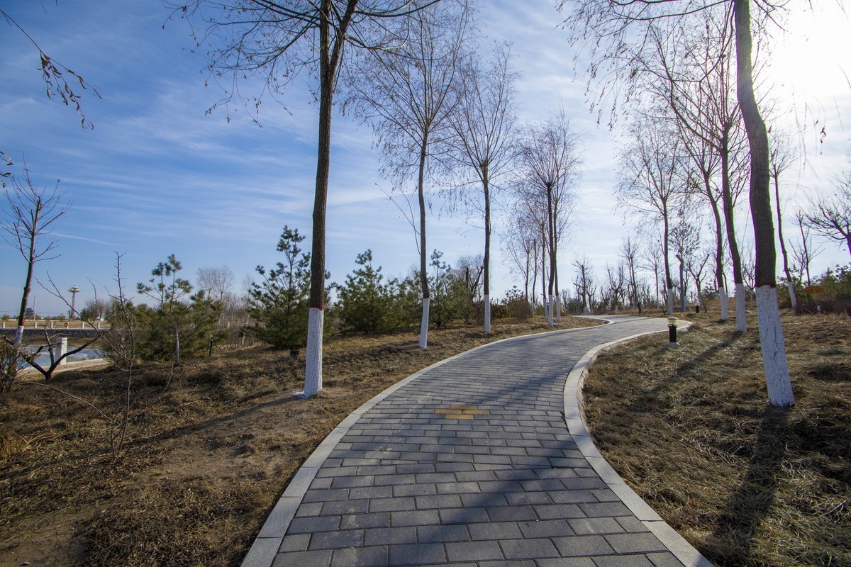 大寒至，立春还会远吗？