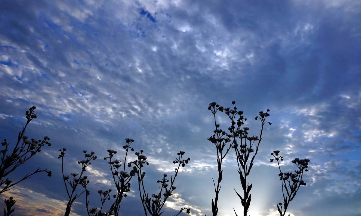 鄱 阳 韭 菜 湖 晨 曦