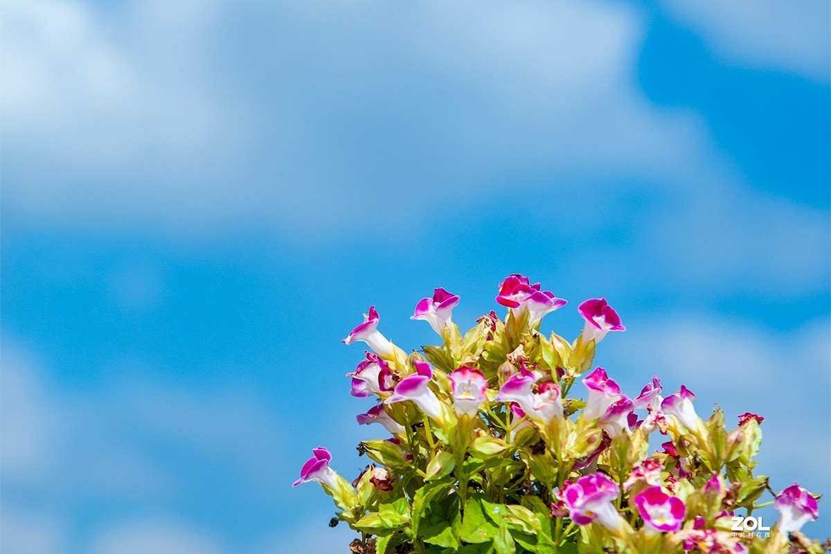 南京汤山奥特莱斯