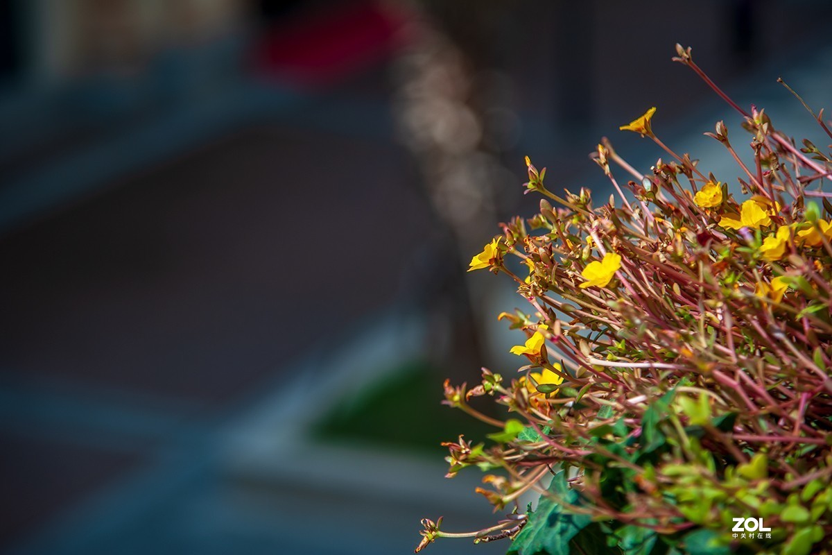 南京汤山奥特莱斯