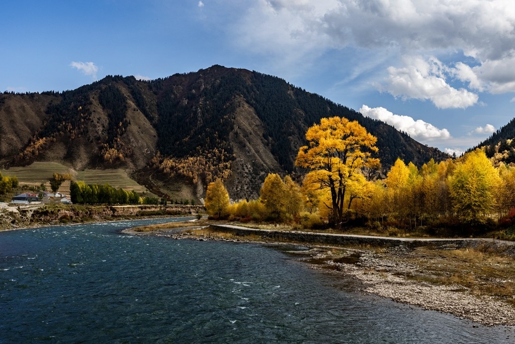 行走在如画的秋里