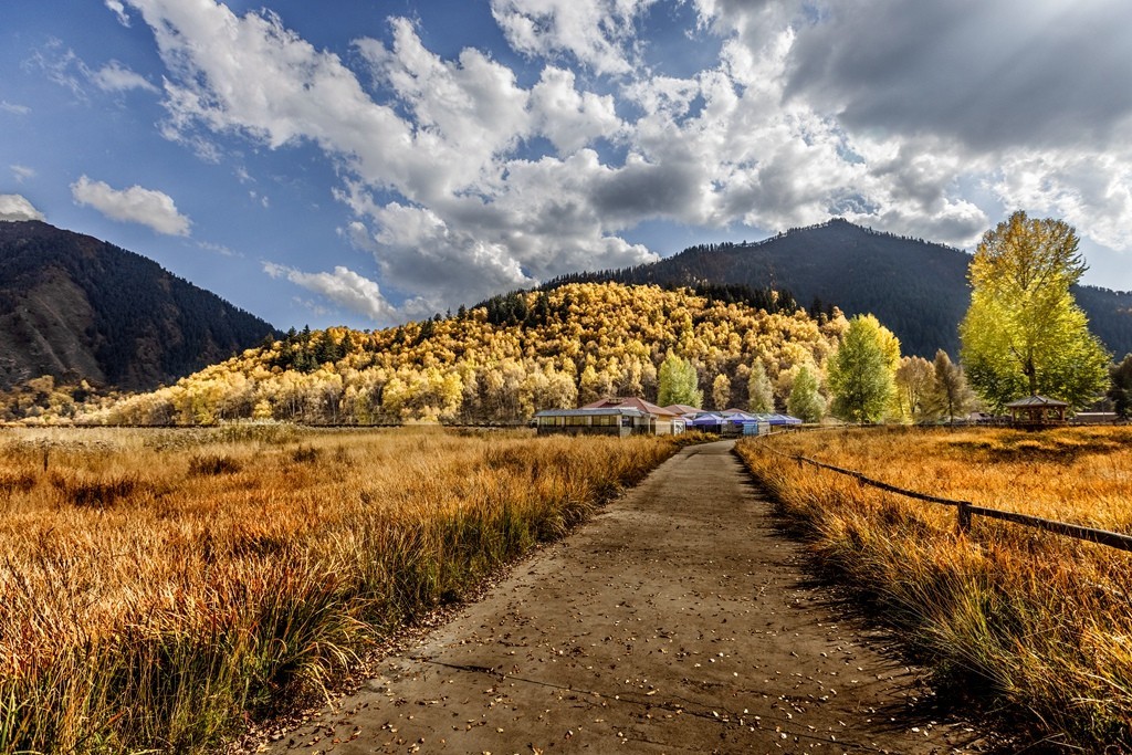 行走在如画的秋里